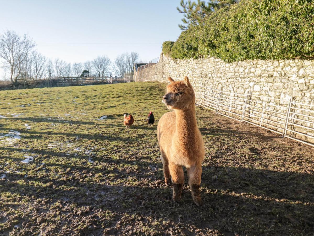 ウルバーストンGranaryアパートメント エクステリア 写真