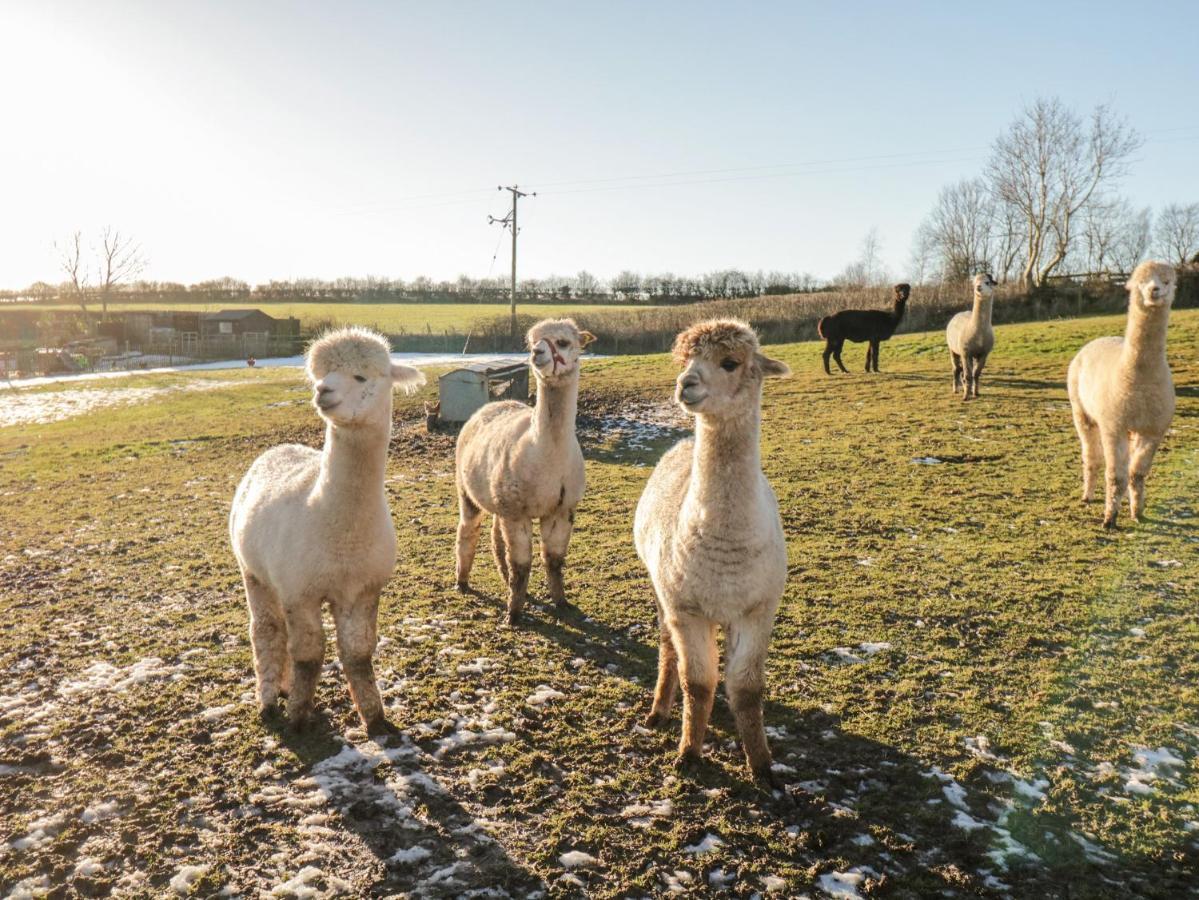 ウルバーストンGranaryアパートメント エクステリア 写真